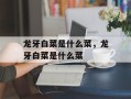 龙牙白菜是什么菜，龙牙白菜是什么菜