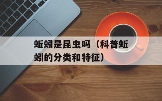 蚯蚓是昆虫吗（科普蚯蚓的分类和特征）