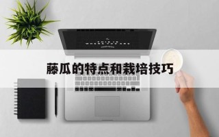藤瓜的特点和栽培技巧