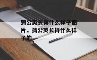 蒲公英长得什么样子图片，蒲公英长得什么样子的