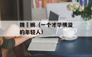 魏嬿婉（一个才华横溢的年轻人）