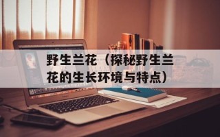 野生兰花（探秘野生兰花的生长环境与特点）
