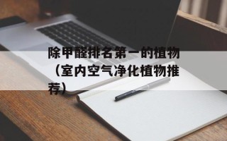 除甲醛排名第一的植物（室内空气净化植物推荐）