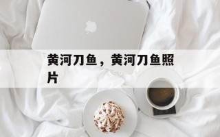黄河刀鱼，黄河刀鱼照片