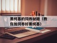 黑柯基的饲养秘籍（教你如何养好黑柯基）