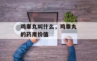 鸡睾丸叫什么，鸡睾丸的药用价值