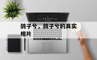 鸽子兮，鸽子兮的真实相片