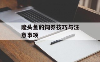 隆头鱼的饲养技巧与注意事项