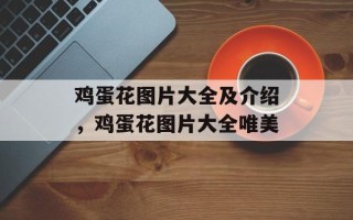 鸡蛋花图片大全及介绍，鸡蛋花图片大全唯美