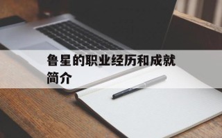 鲁星的职业经历和成就简介