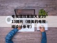 电视墙效果图大全2013图片（精美的电视墙设计参考）