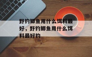 野钓鲫鱼用什么饵料最好，野钓鲫鱼用什么饵料最好钓