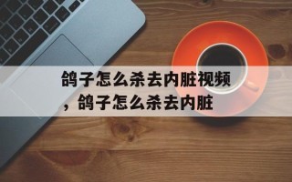 鸽子怎么杀去内脏视频，鸽子怎么杀去内脏