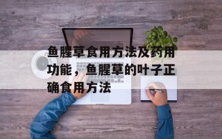 鱼腥草食用方法及药用功能，鱼腥草的叶子正确食用方法