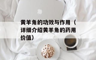 黄羊角的功效与作用（详细介绍黄羊角的药用价值）