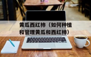 黄瓜西红柿（如何种植和管理黄瓜和西红柿）
