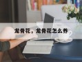 龙骨花，龙骨花怎么养