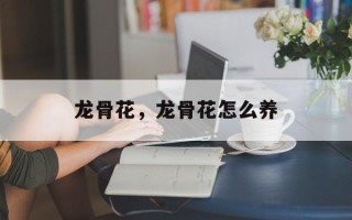龙骨花，龙骨花怎么养