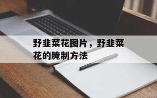 野韭菜花图片，野韭菜花的腌制方法