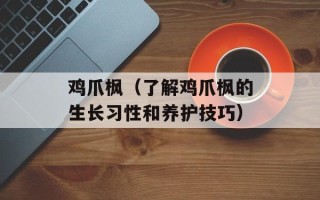 鸡爪枫（了解鸡爪枫的生长习性和养护技巧）