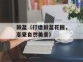 鼓盆（打造鼓盆花园，享受自然美景）