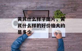 黄芪什么样子图片，黄芪什么样的好价格大约是多少