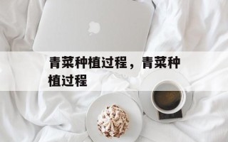 青菜种植过程，青菜种植过程