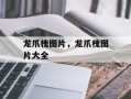 龙爪槐图片，龙爪槐图片大全