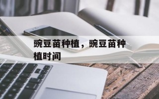 豌豆苗种植，豌豆苗种植时间