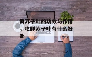 鲜苏子叶的功效与作用，吃鲜苏子叶有什么好处
