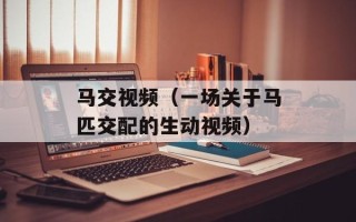 马交视频（一场关于马匹交配的生动视频）