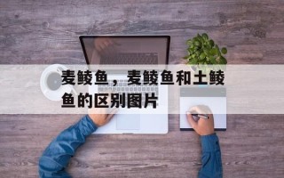 麦鲮鱼，麦鲮鱼和土鲮鱼的区别图片
