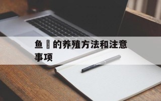鱼鱻的养殖方法和注意事项