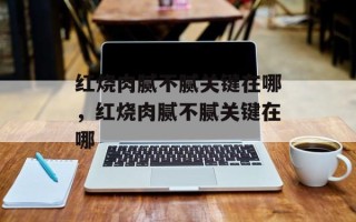 红烧肉腻不腻关键在哪，红烧肉腻不腻关键在哪