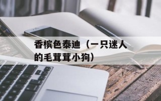 香槟色泰迪（一只迷人的毛茸茸小狗）