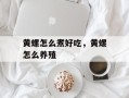 黄螺怎么煮好吃，黄螺怎么养殖