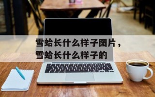 雪蛤长什么样子图片，雪蛤长什么样子的