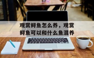 观赏鲟鱼怎么养，观赏鲟鱼可以和什么鱼混养