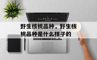 野生核桃品种，野生核桃品种是什么样子的