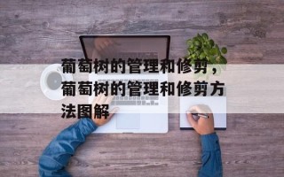 葡萄树的管理和修剪，葡萄树的管理和修剪方法图解