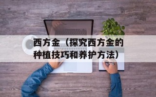 西方金（探究西方金的种植技巧和养护方法）