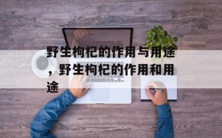 野生枸杞的作用与用途，野生枸杞的作用和用途