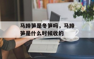 马蹄笋是冬笋吗，马蹄笋是什么时候收的