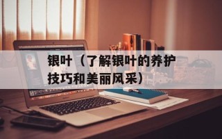 银叶（了解银叶的养护技巧和美丽风采）