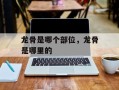 龙骨是哪个部位，龙骨是哪里的