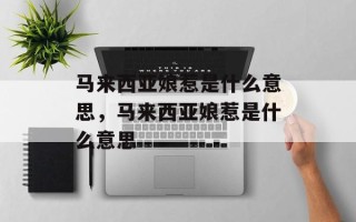 马来西亚娘惹是什么意思，马来西亚娘惹是什么意思