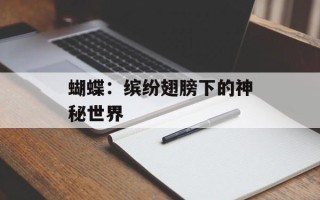 蝴蝶：缤纷翅膀下的神秘世界