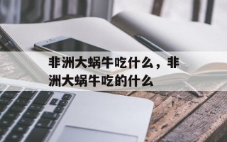 非洲大蜗牛吃什么，非洲大蜗牛吃的什么
