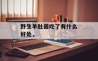 野生羊肚菌吃了有什么好处，