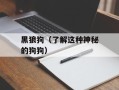 黑狼狗（了解这种神秘的狗狗）